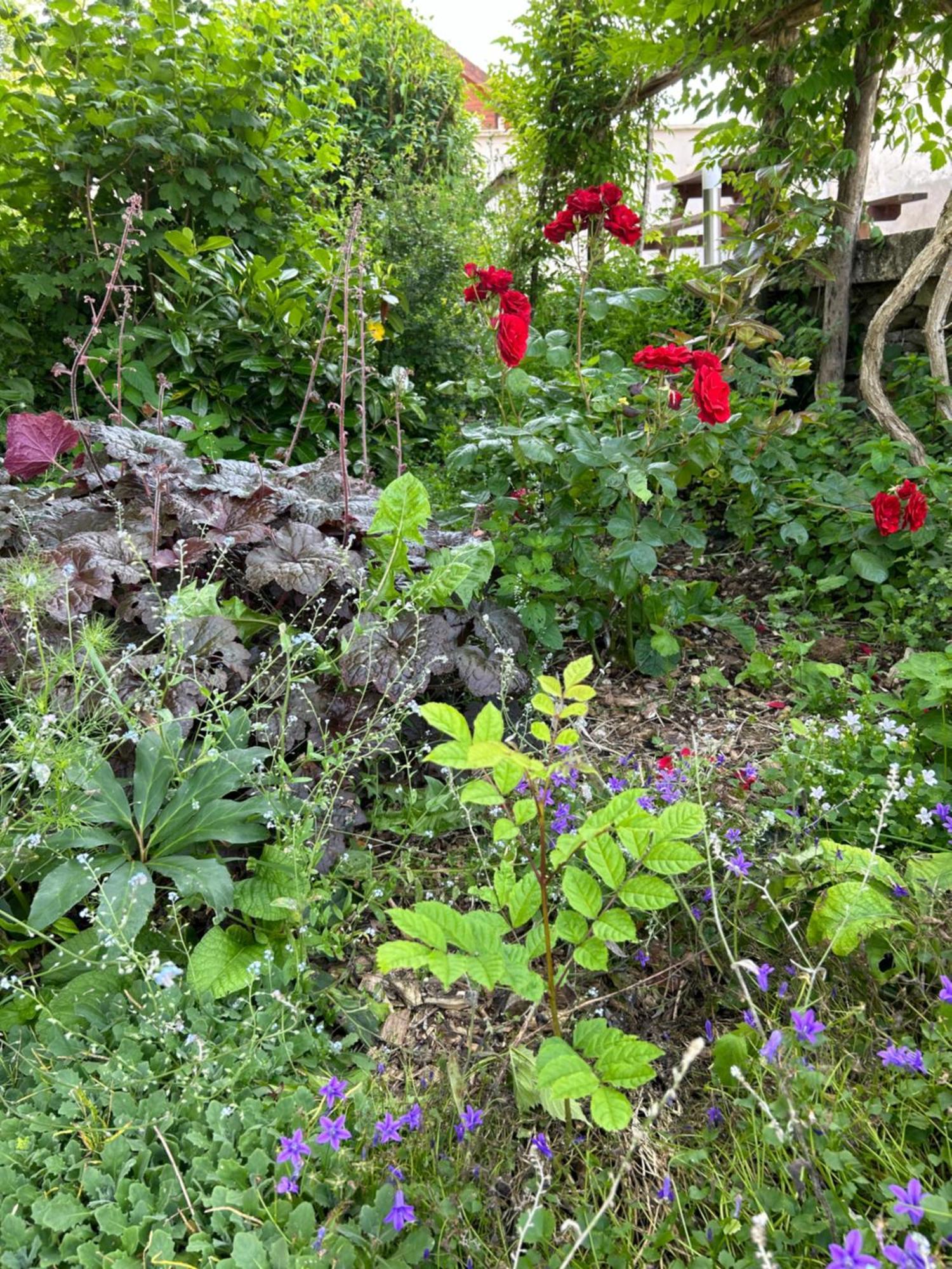 Pivoine Chambre D Hotes Fralignes ภายนอก รูปภาพ