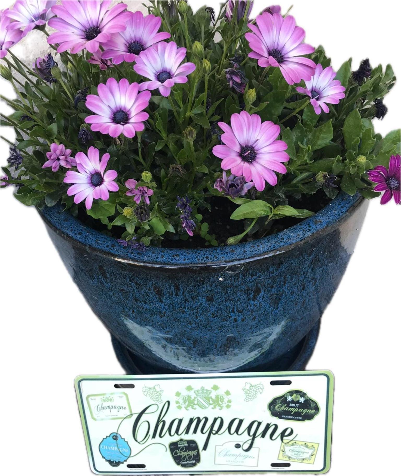 Pivoine Chambre D Hotes Fralignes ภายนอก รูปภาพ